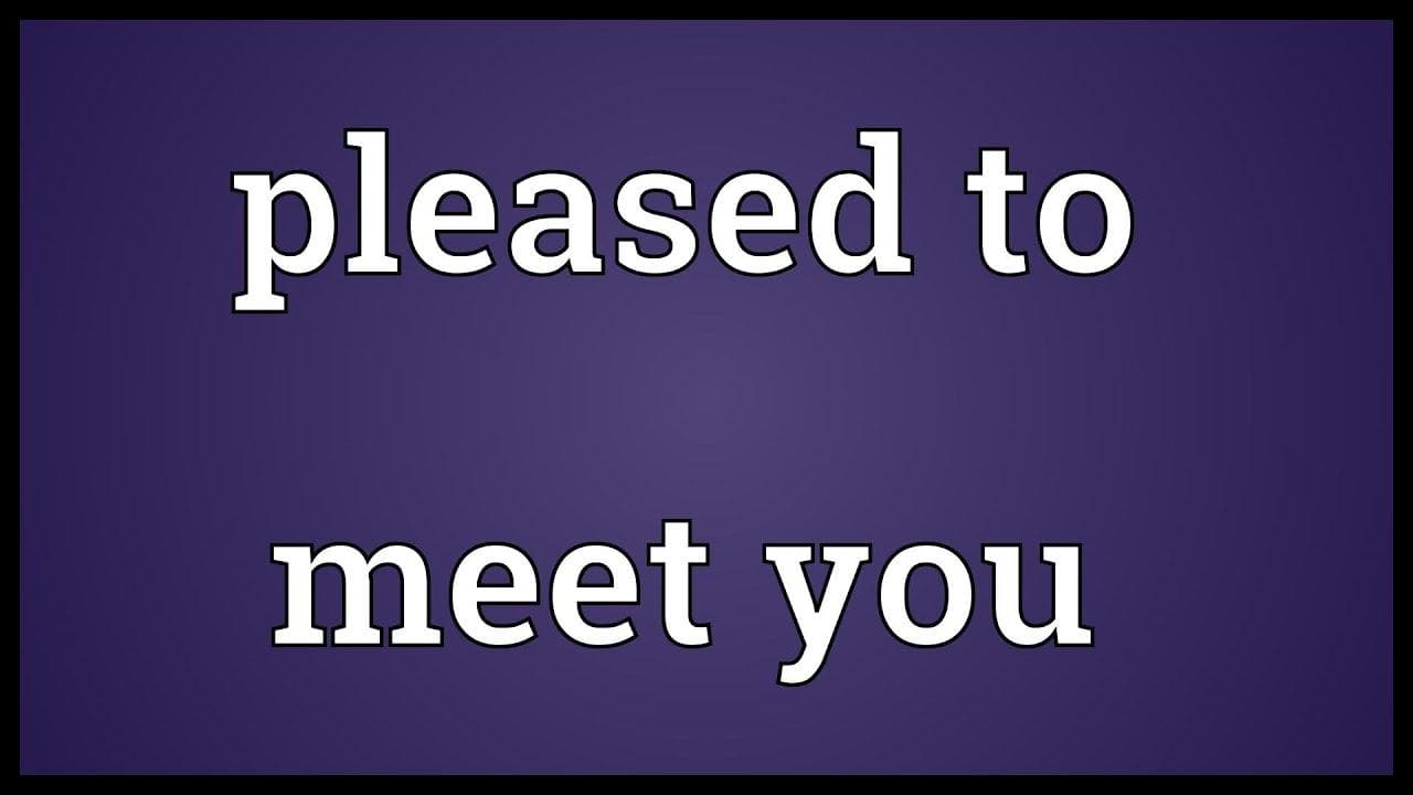 معنی جمله pleased to meet you چیست؟.jpg