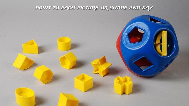 معنی جمله point to each picture or shape and say چیست؟.jpg