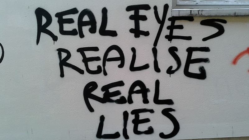 معنی جمله real eyes realize real lies چیست؟.jpg