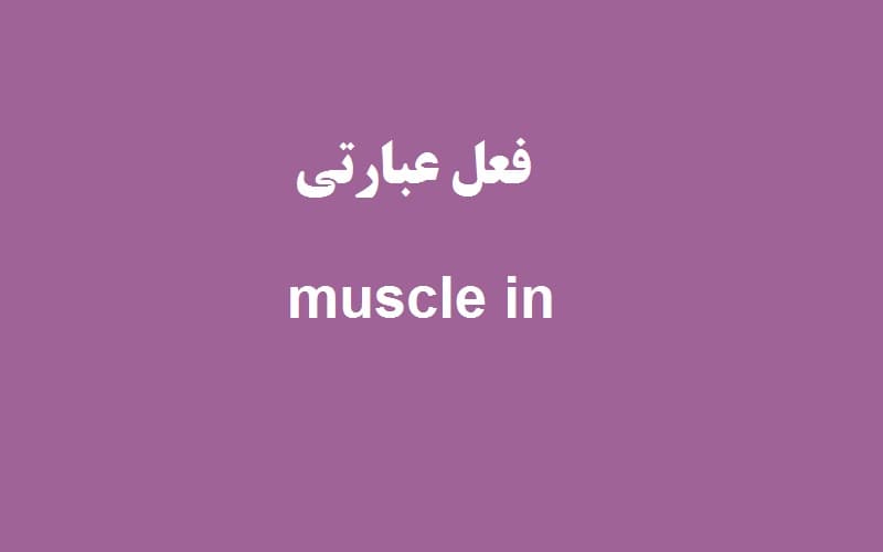 muscle in.jpg