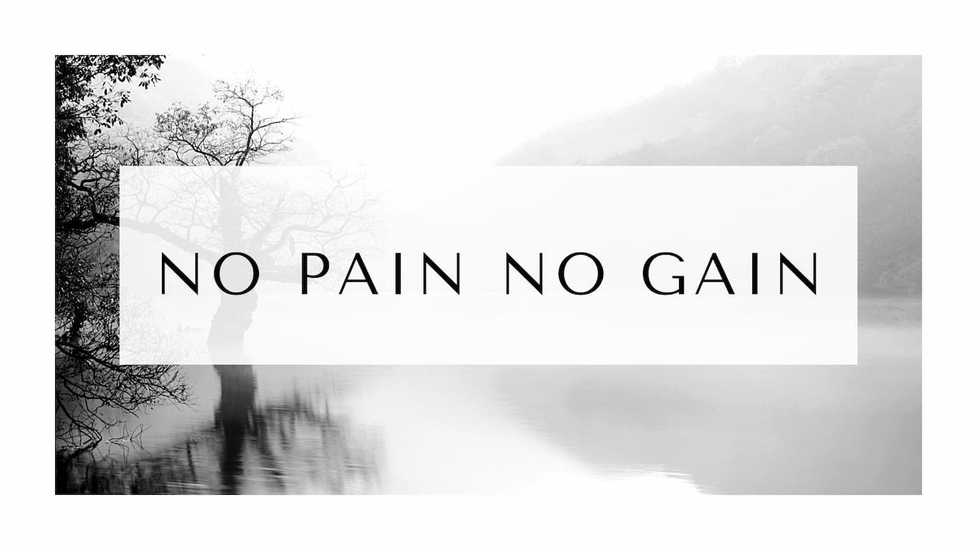 no pain no gain.jpg