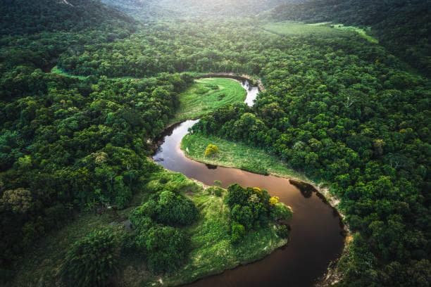 مکالمه انگلیسی در مورد شگفتی‌های رود آمازون در آمریکا