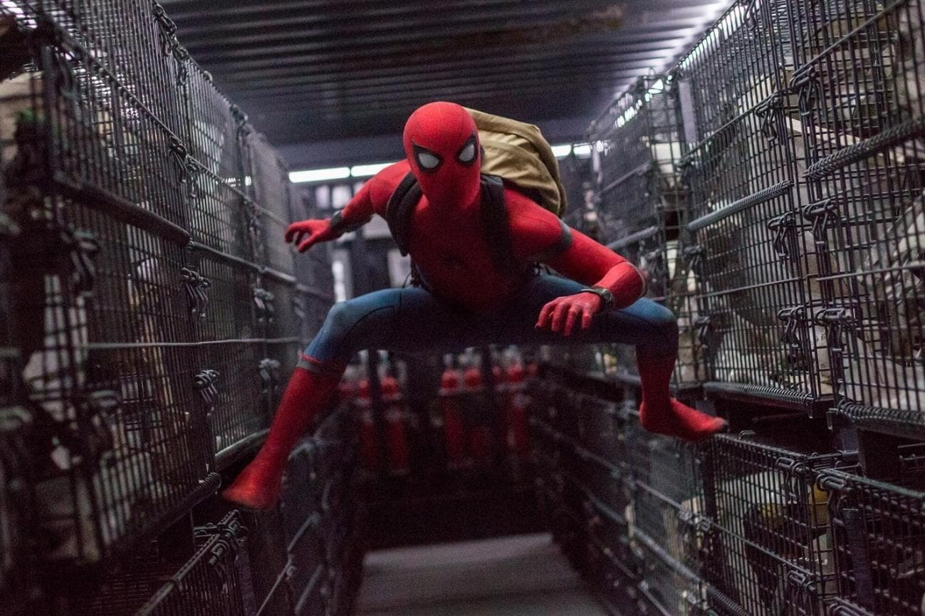 تصویری از فیلم Spider-Man Homecoming.jpg